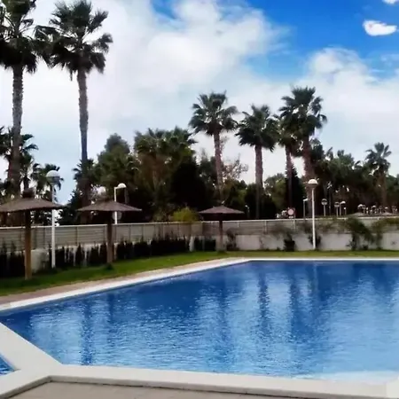 Mondrial2024 El Borseral